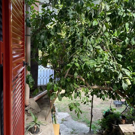 Green Heaven بيمونت المظهر الخارجي الصورة